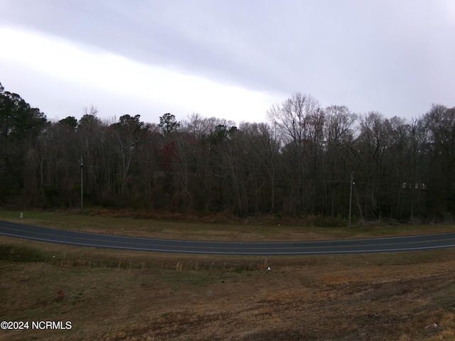 Listing photo 3 for NEAR221 Causey Rd, Fair Bluff NC 28439