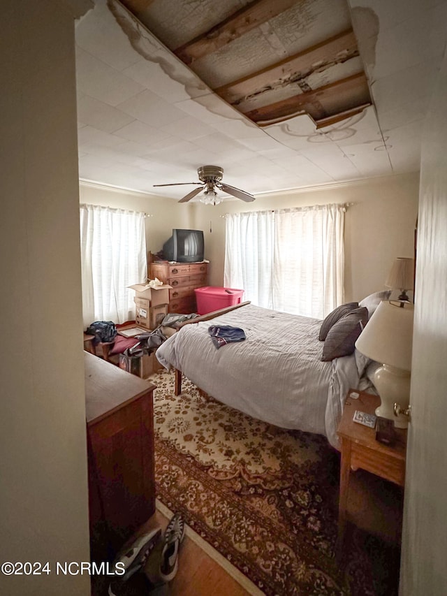 bedroom with ceiling fan