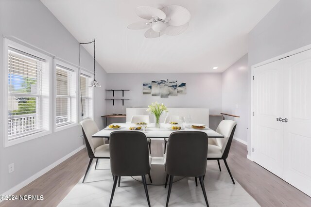 dining room featuring ceiling fan and wood-type flooring