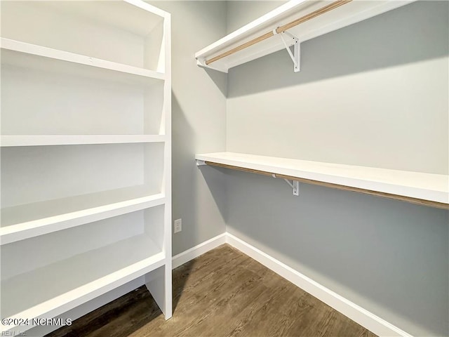 walk in closet featuring dark hardwood / wood-style floors