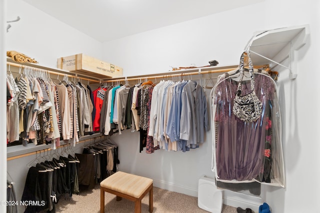 spacious closet with carpet floors