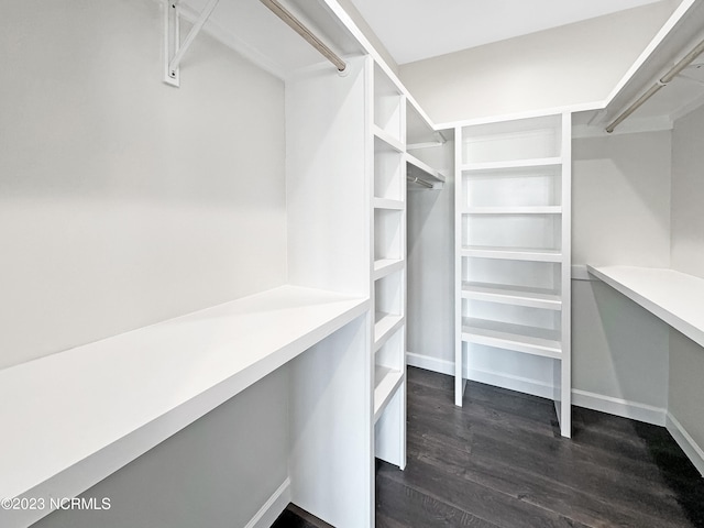 spacious closet featuring dark hardwood / wood-style flooring