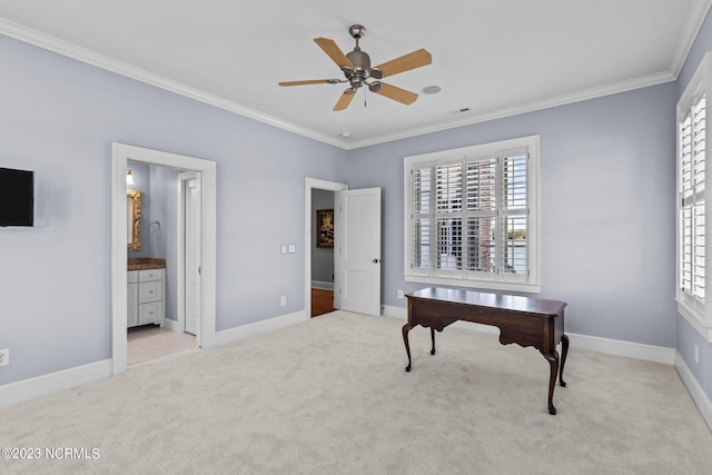 carpeted office featuring ceiling fan, a wealth of natural light, and ornamental molding