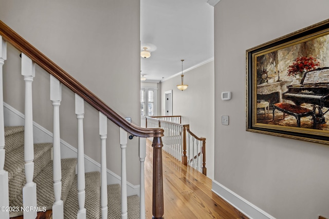 entrance foyer featuring light hardwood / wood-style flooring and crown molding