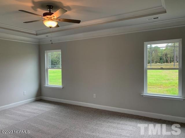 carpeted spare room featuring a raised ceiling, ceiling fan, and ornamental molding