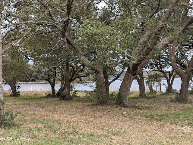 view of yard with a water view