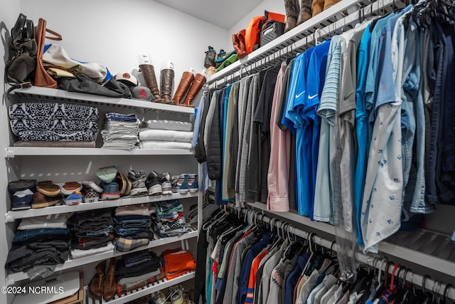 view of walk in closet