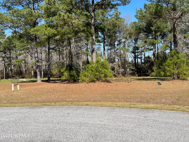 117 Cooper Landing Dr, Aydlett NC, 27916 land for sale