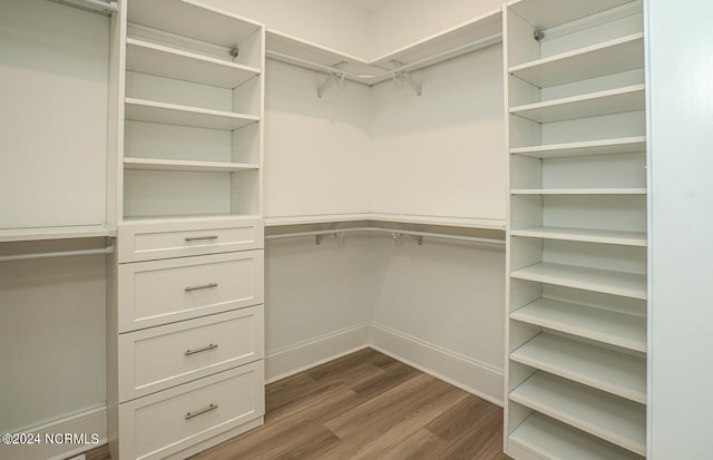 walk in closet featuring wood finished floors