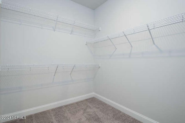 spacious closet with carpet flooring