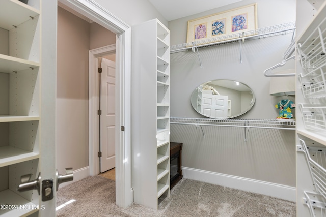 spacious closet featuring light colored carpet