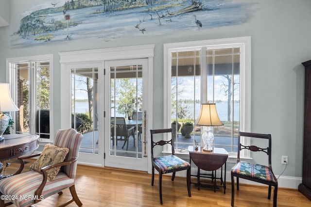 sitting room featuring light hardwood / wood-style flooring and a wealth of natural light