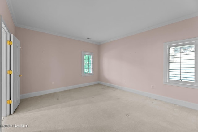 carpeted empty room featuring crown molding