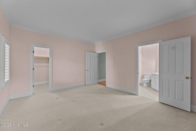 bathroom with crown molding and vanity