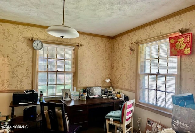 home office featuring crown molding, a textured ceiling, and a wealth of natural light