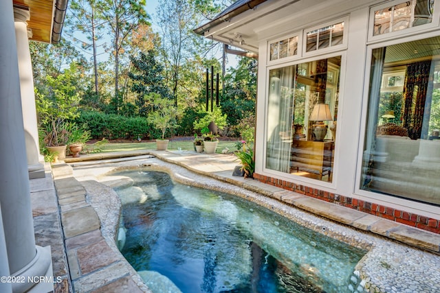 view of swimming pool featuring a patio area