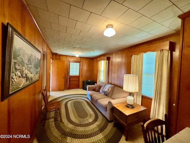 living room featuring wooden walls and crown molding