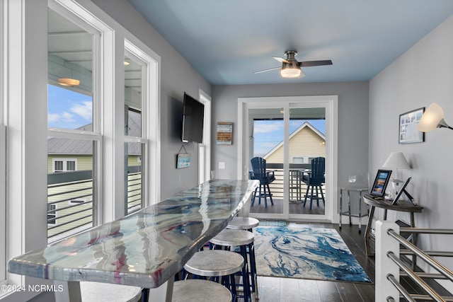 interior space with ceiling fan