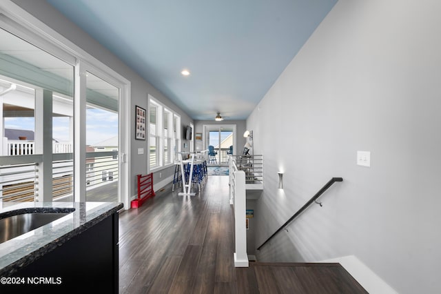 interior space with dark hardwood / wood-style floors