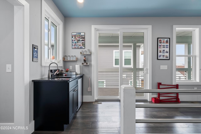 interior space featuring dark wood-type flooring, a wealth of natural light, and sink