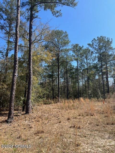 6686 Mossey Run Dr NE Unit 7, Leland NC, 28451 land for sale