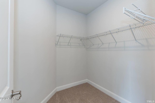 walk in closet featuring carpet flooring
