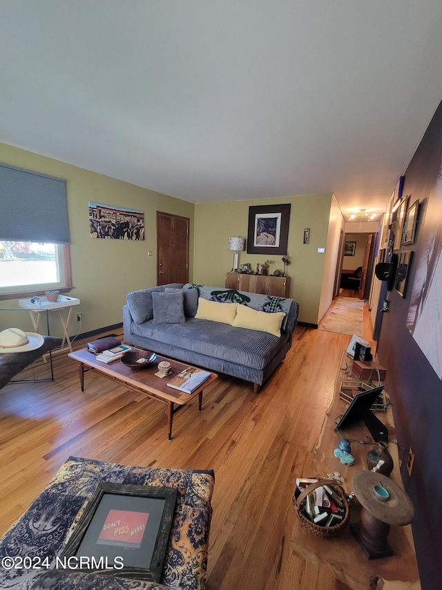 living room featuring light hardwood / wood-style flooring