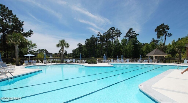 view of pool featuring a patio area