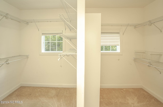 spacious closet featuring light colored carpet