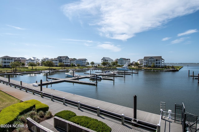 dock area with a water view