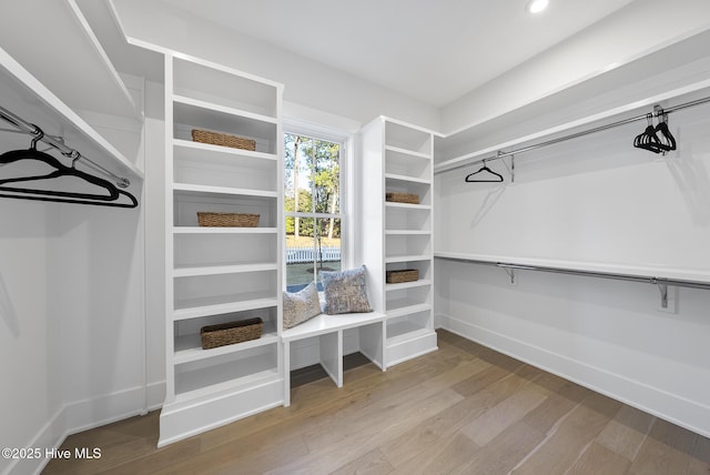 spacious closet featuring wood finished floors