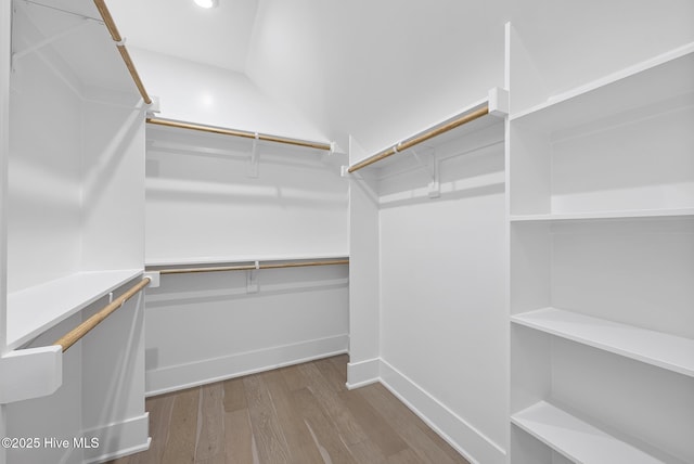 walk in closet featuring wood finished floors