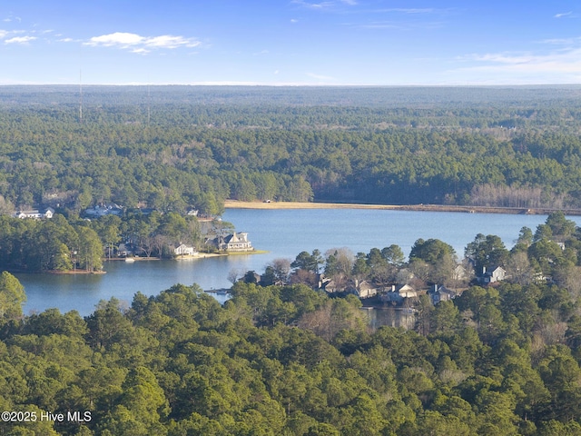 bird's eye view with a forest view and a water view