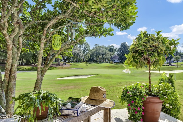 view of property's community with a lawn