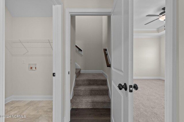 stairs with ceiling fan, ornamental molding, and carpet floors