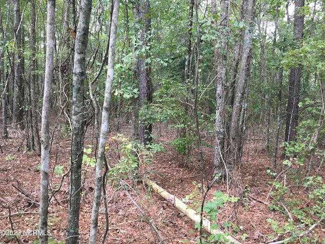 0 Gaskins Rd, Grimesland NC, 27837 land for sale