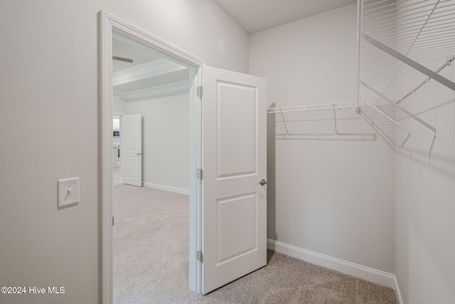 spacious closet featuring light colored carpet