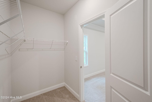 spacious closet featuring light colored carpet