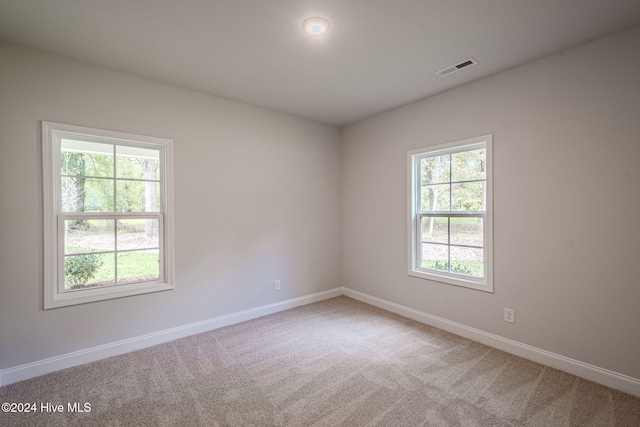 spare room featuring carpet and a healthy amount of sunlight