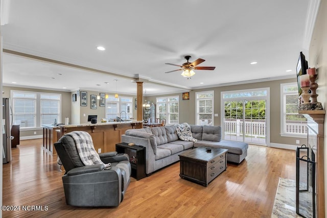 living room with ceiling fan with notable chandelier, light wood-type flooring, ornamental molding, and sink