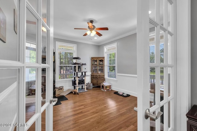 workout room with ceiling fan, wood-type flooring, ornamental molding, and french doors