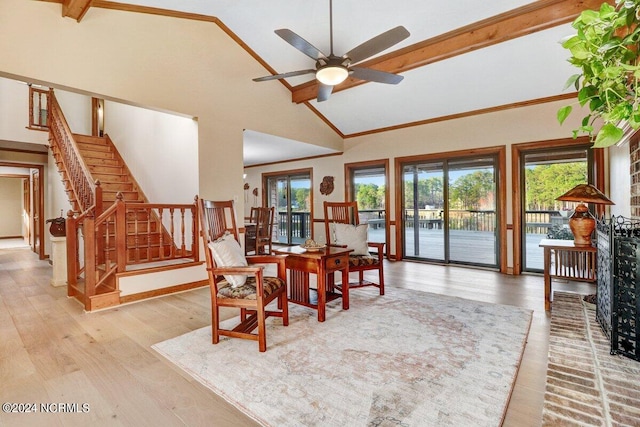 dining space with ceiling fan, plenty of natural light, and light hardwood / wood-style floors