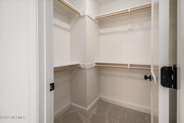 spacious closet featuring carpet flooring