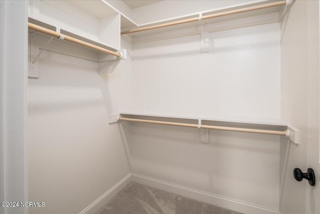 spacious closet with carpet flooring