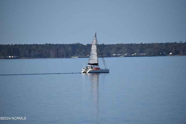 view of water feature with a floating dock and a view of trees