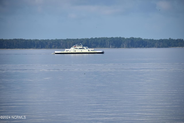 water view featuring a wooded view