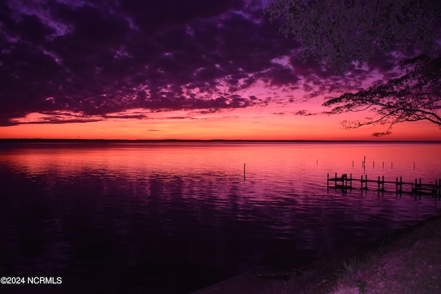 water view featuring a dock