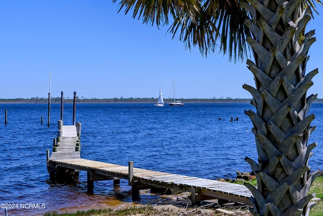 dock area with a water view