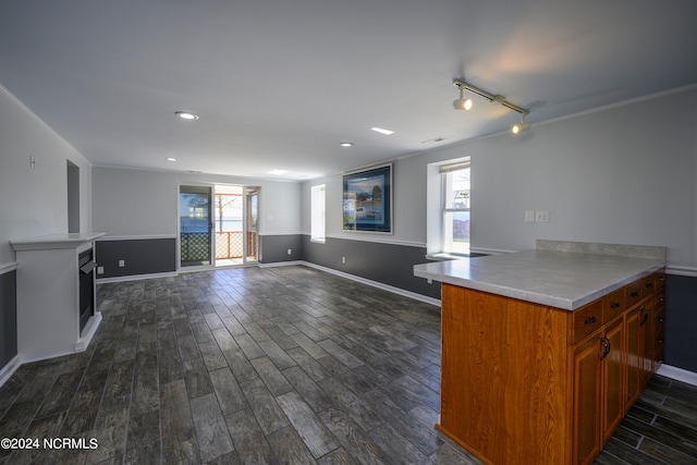 kitchen with track lighting and dark wood-type flooring