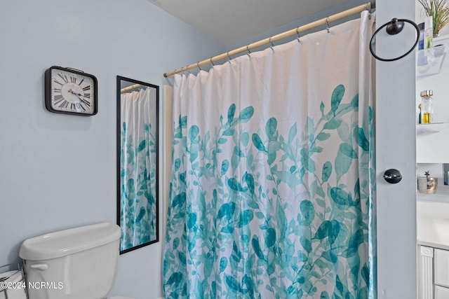 bathroom with toilet and vanity